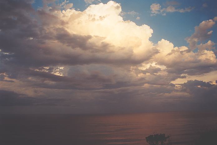 altocumulus castellanus : Port Macquarie, NSW   22 December 2001