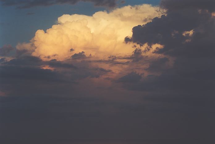 thunderstorm cumulonimbus_incus : Port Macquarie, NSW   22 December 2001