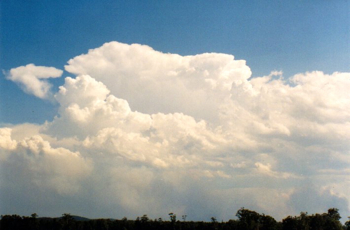 thunderstorm cumulonimbus_incus : Woodburn, NSW   22 December 2001