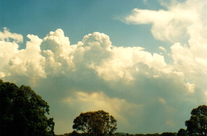 thunderstorm cumulonimbus_calvus : Woodburn, NSW   22 December 2001