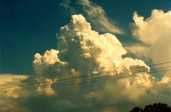 thunderstorm cumulonimbus_calvus : Woodburn, NSW   22 December 2001