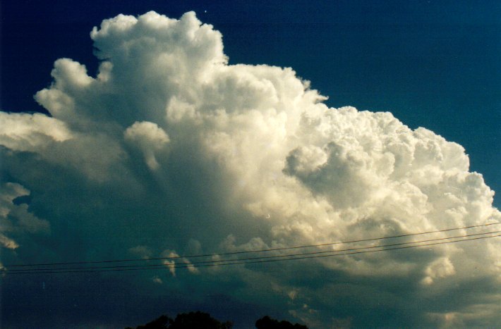 thunderstorm cumulonimbus_incus : Woodburn, NSW   22 December 2001