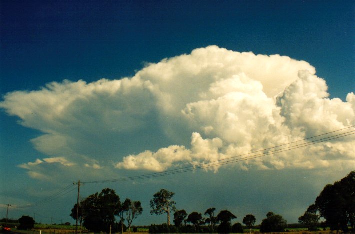 thunderstorm cumulonimbus_incus : Woodburn, NSW   22 December 2001