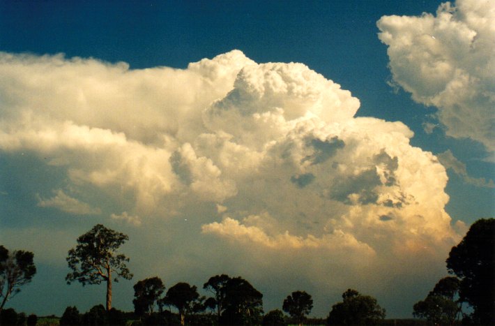 thunderstorm cumulonimbus_incus : Woodburn, NSW   22 December 2001