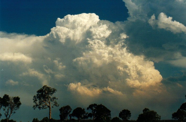 thunderstorm cumulonimbus_incus : Woodburn, NSW   22 December 2001