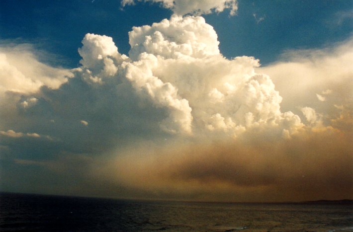 cumulus pyrocumulus : Woodburn, NSW   22 December 2001