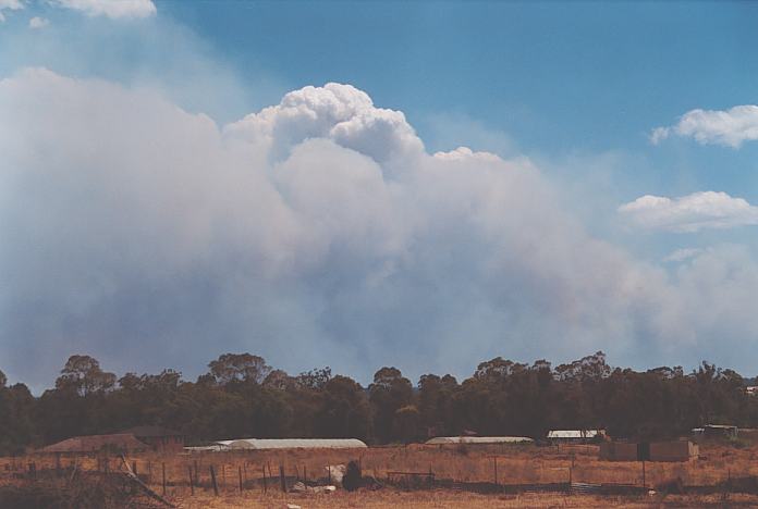 cumulus pyrocumulus : Schofields, NSW   25 December 2001