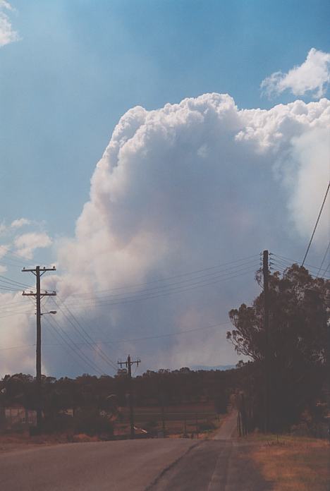 bushfire wild_fire : Schofields, NSW   25 December 2001