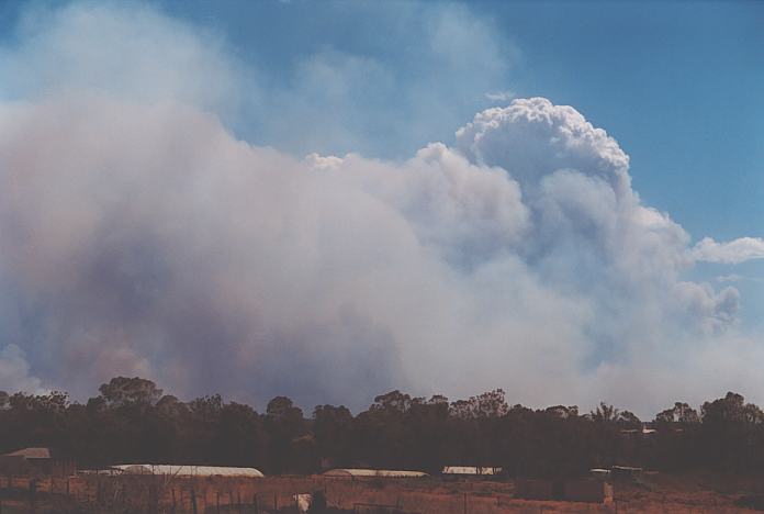 cumulus pyrocumulus : Schofields, NSW   25 December 2001