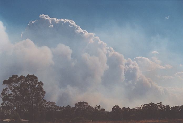 bushfire wild_fire : Schofields, NSW   25 December 2001