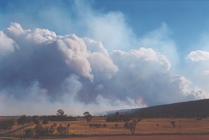 bushfire wild_fire : Castlereagh, NSW   25 December 2001