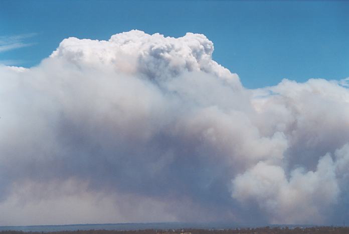 bushfire wild_fire : Kurrajong, NSW   26 December 2001