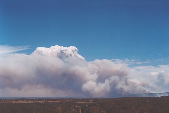 bushfire wild_fire : Kurrajong, NSW   26 December 2001