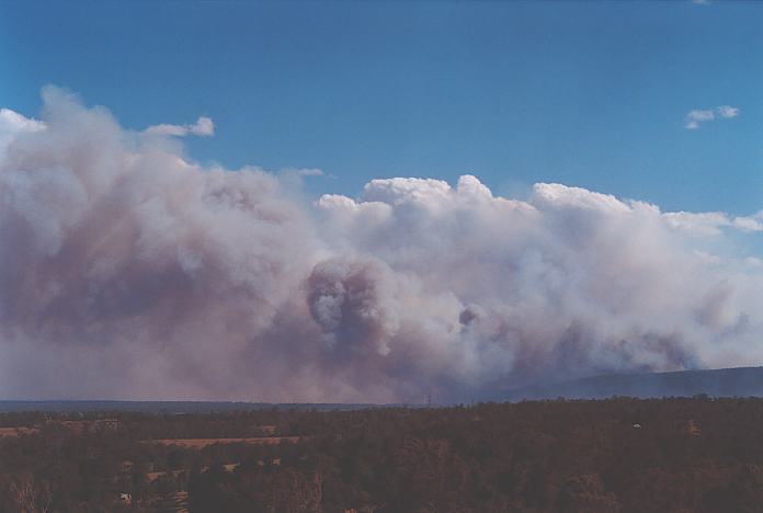 cumulus pyrocumulus : Kurrajong, NSW   26 December 2001