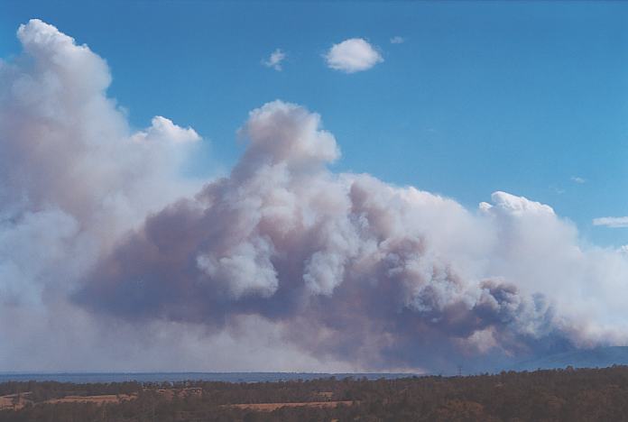 bushfire wild_fire : Kurrajong, NSW   26 December 2001