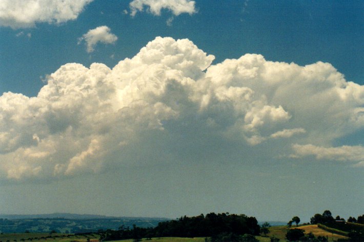 cumulus congestus : McLeans Ridges, NSW   29 December 2001