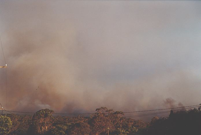 bushfire wild_fire : Pennant Hills, NSW   1 January 2002