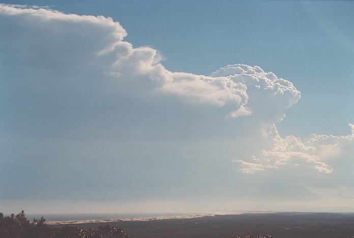 thunderstorm cumulonimbus_calvus : Port Stephens, NSW   8 February 2002