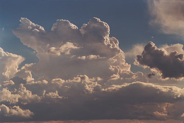 thunderstorm cumulonimbus_calvus : Anna Bay, NSW   8 February 2002