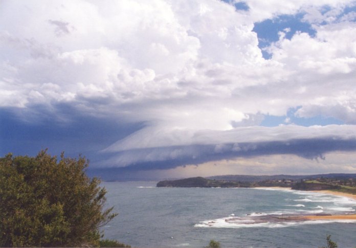 contributions received : Mona Vale Headland, NSW<BR>Photo by Judy Mayo   8 February 2002