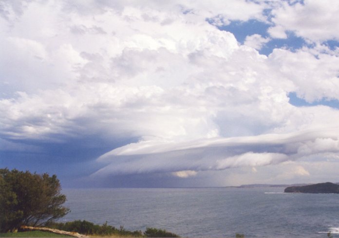 contributions received : Mona Vale Headland, NSW<BR>Photo by Judy Mayo   8 February 2002