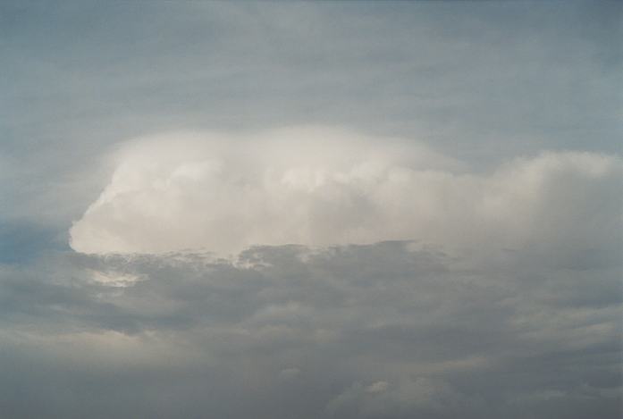 thunderstorm cumulonimbus_incus : Schofields, NSW   19 March 2002