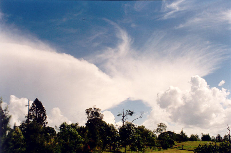 thunderstorm cumulonimbus_incus : McLeans Ridges, NSW   26 March 2002