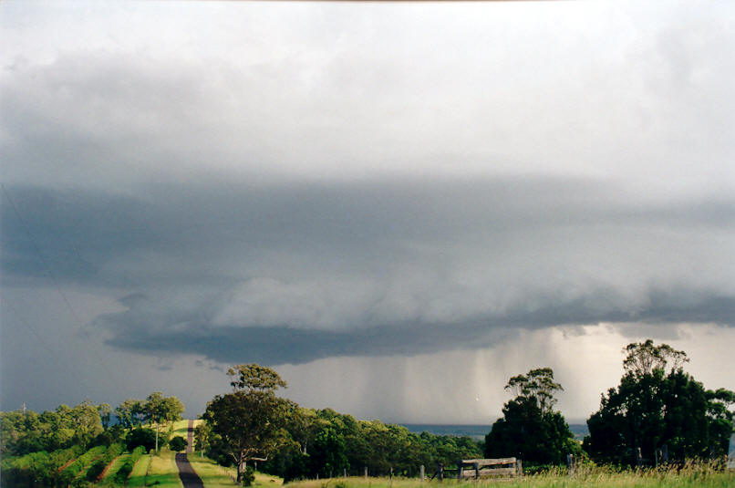 favourites michael_bath : Tregeagle, NSW   26 March 2002