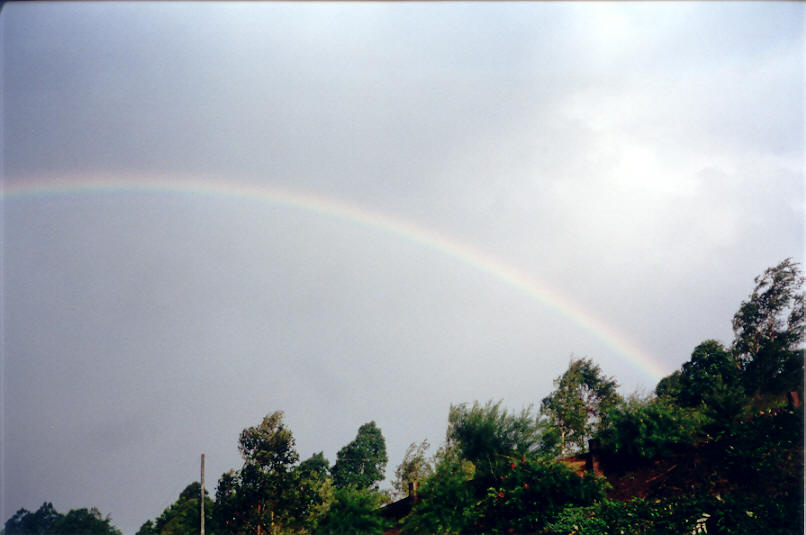 rainbow rainbow_pictures : McLeans Ridges, NSW   26 March 2002