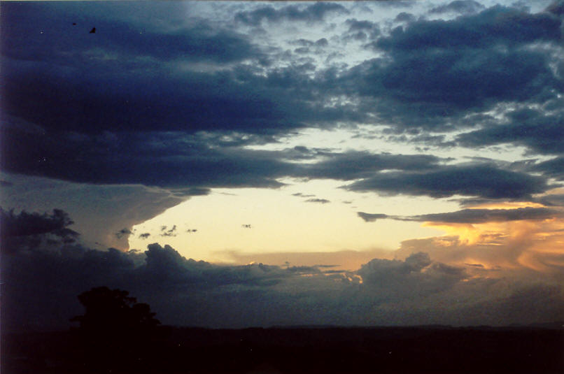 thunderstorm cumulonimbus_incus : McLeans Ridges, NSW   26 March 2002