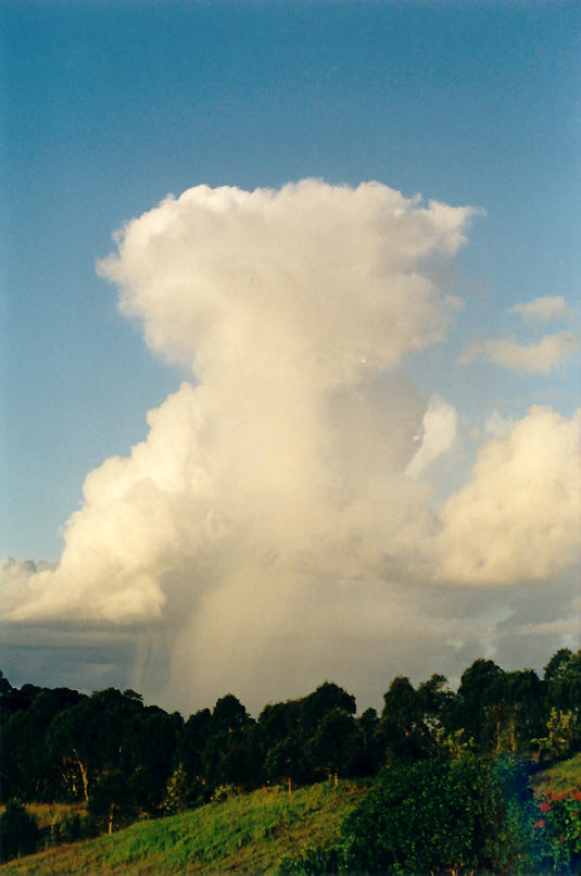 raincascade precipitation_cascade : McLeans Ridges, NSW   14 April 2002