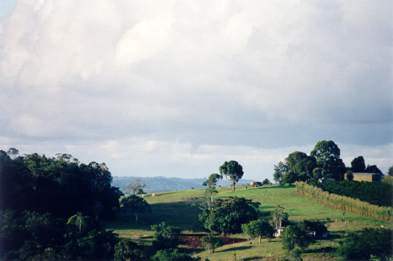 tornadoes funnel_tornado_waterspout : McLeans Ridges, NSW   7 May 2002