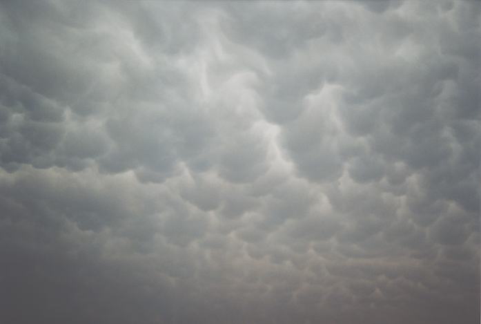 mammatus mammatus_cloud : north of Witchita, Kansas, USA   11 May 2002