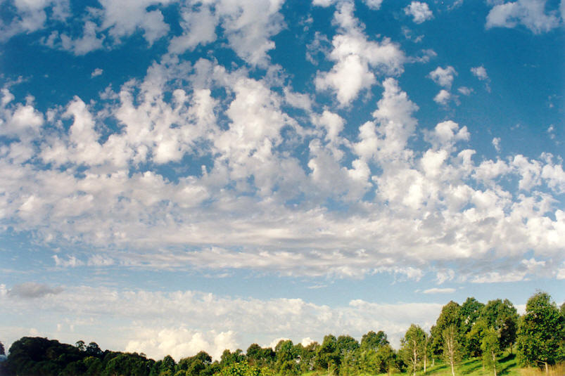 altocumulus castellanus : McLeans Ridges, NSW   14 May 2002