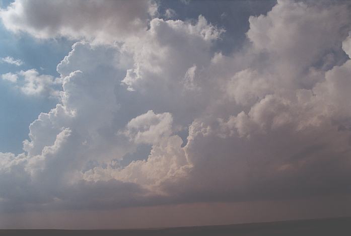 cumulus congestus : N of Canadian, Texas, USA   23 May 2002