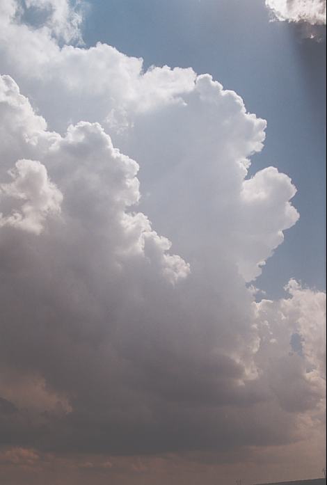 thunderstorm cumulonimbus_calvus : N of Childress, Texas, USA   24 May 2002