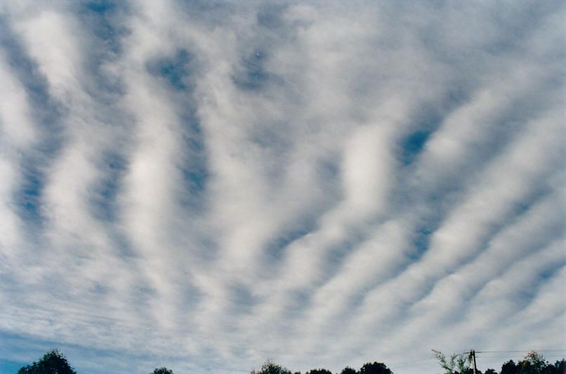 altocumulus undulatus : McLeans Ridges, NSW   14 June 2002