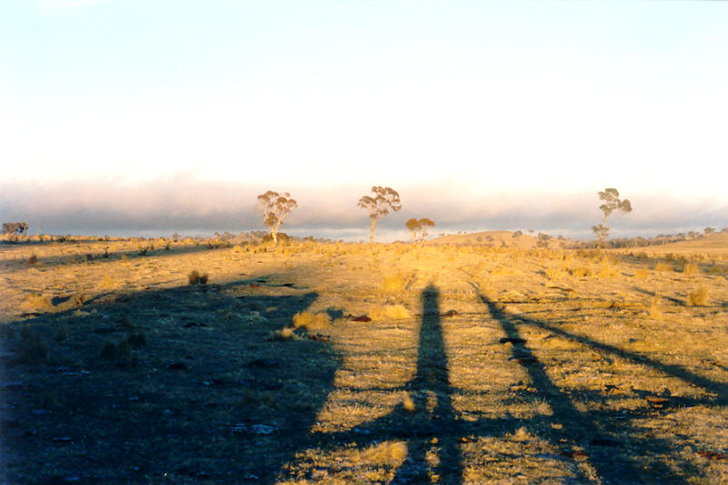 stratus stratus_cloud : Ben Lomond, NSW   29 June 2002