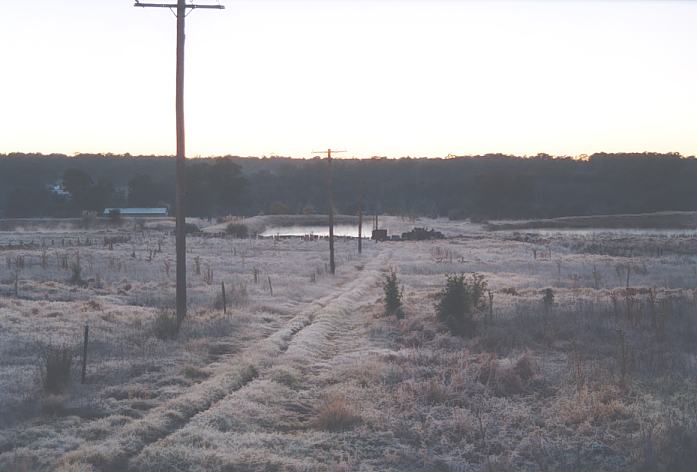 fogmist fog_mist_frost : Schofields, NSW   12 July 2002