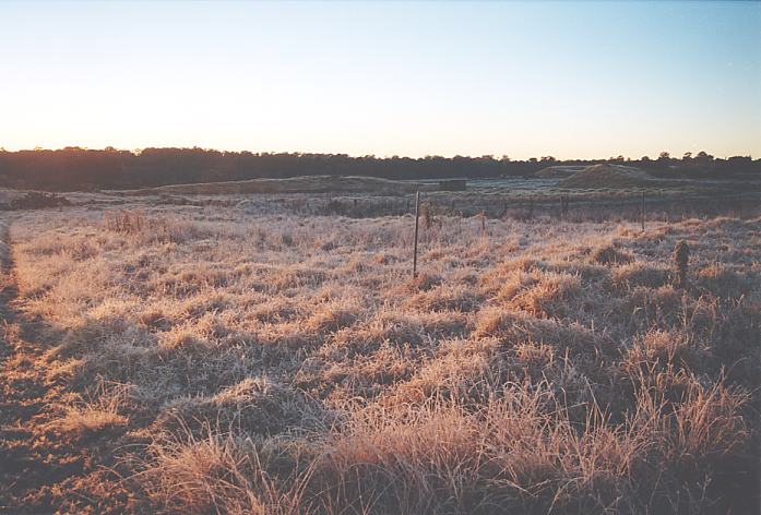 fogmist fog_mist_frost : Schofields, NSW   12 July 2002