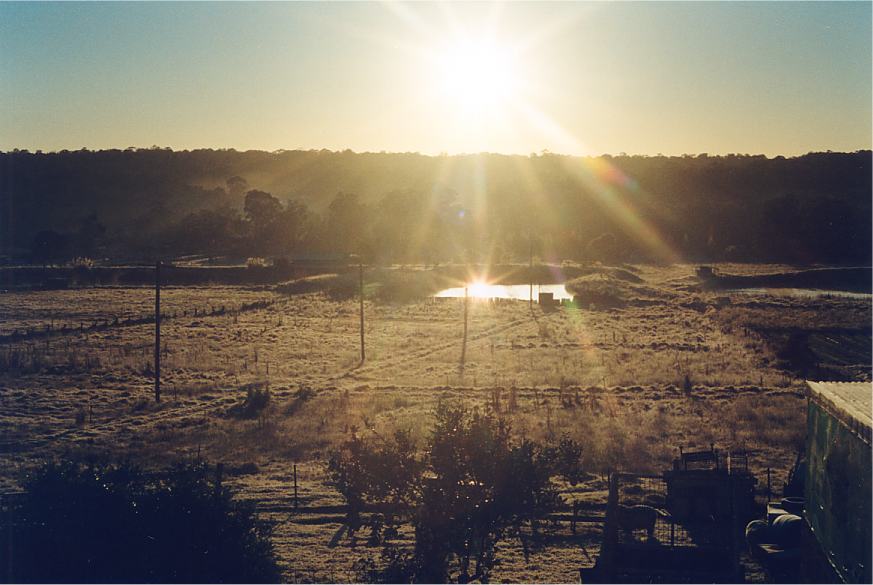 fogmist fog_mist_frost : Schofields, NSW   12 July 2002