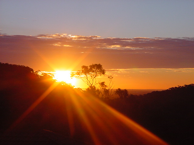 contributions received : Golden Grove, SA<BR>Photo by Cliff Beale   1 August 2002