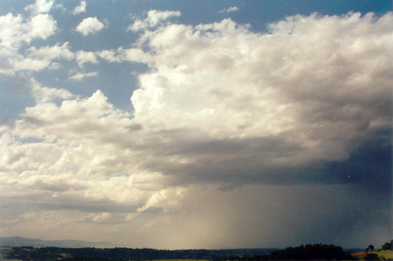 thunderstorm cumulonimbus_calvus : McLeans Ridges, NSW   7 September 2002