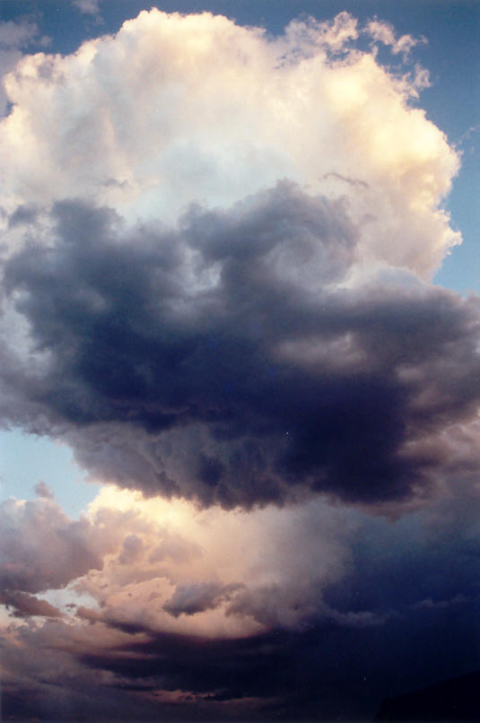 cumulus congestus : McLeans Ridges, NSW   23 September 2002