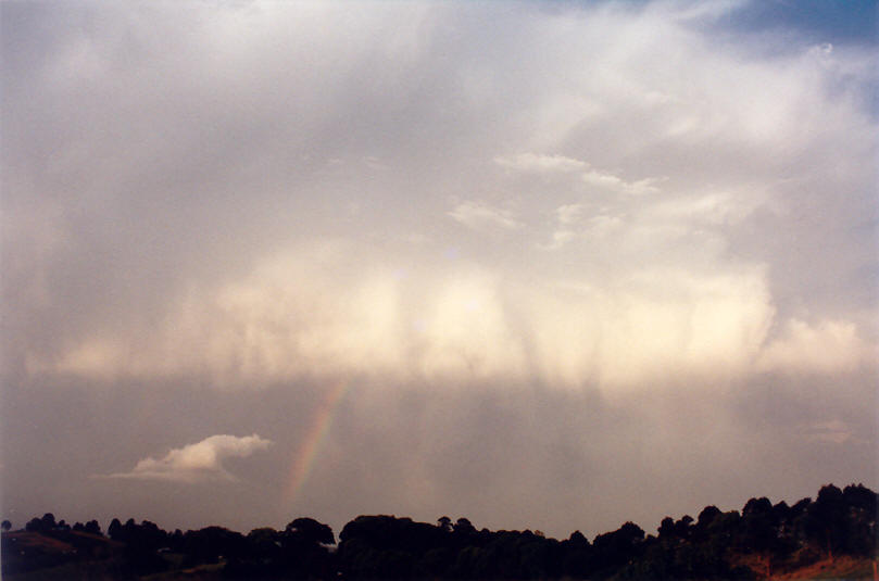 rainbow rainbow_pictures : McLeans Ridges, NSW   26 September 2002