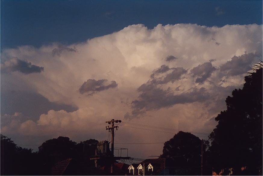 thunderstorm cumulonimbus_incus : Padstow, NSW   5 October 2002