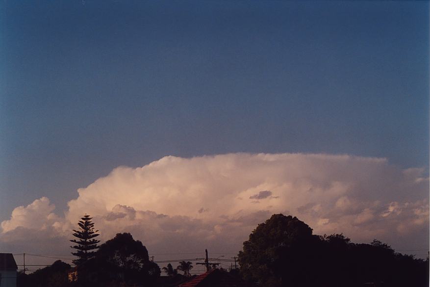 thunderstorm cumulonimbus_incus : Padstow, NSW   5 October 2002