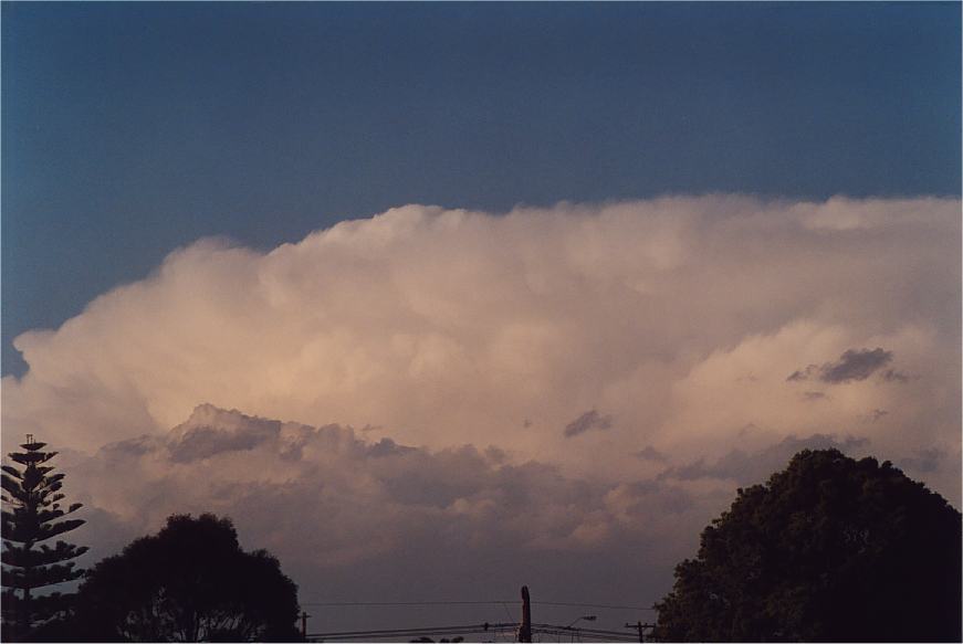 thunderstorm cumulonimbus_incus : Padstow, NSW   5 October 2002