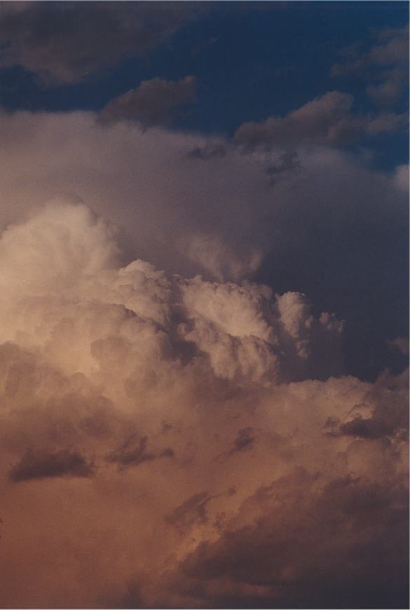 thunderstorm cumulonimbus_incus : Padstow, NSW   5 October 2002