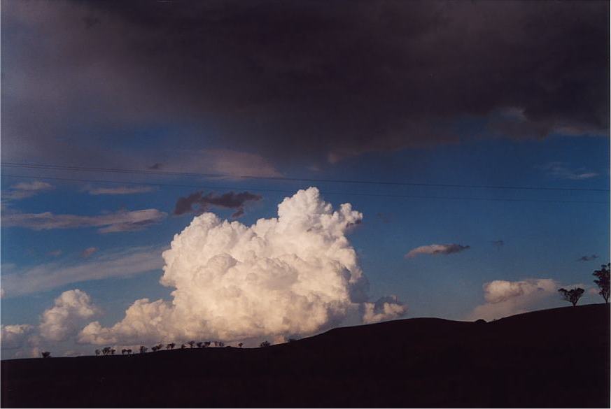 thunderstorm cumulonimbus_calvus : E of Merriwa, NSW   13 October 2002